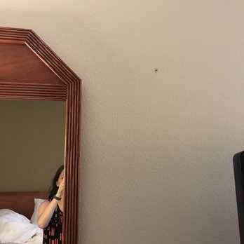 Hampton Inn Portage - Bug smashed on wall - Hotels Near Me - Portage, Indiana