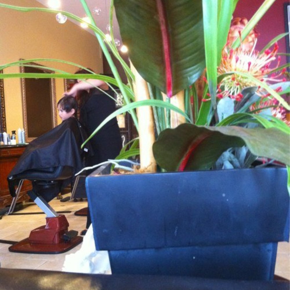 Paris Style - Hair Salons Near Me - Houston, Texas Paris Style - Hair Salons Near Me - Houston, Texas