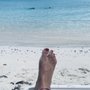Photo of Coki Point