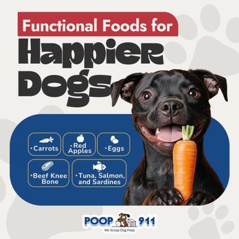 POOP 911 - Pet Waste Removal Near Me POOP 911 - Pet Waste Removal Near Me