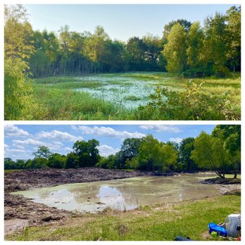 Tree Guardian USA - Before and after our old pond - Tree Services Near Me - Rayne, Louisiana Tree Guardian USA - Before and after our old pond - Tree Services Near Me - Rayne, Louisiana