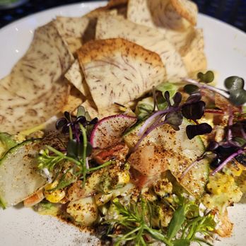 Mayan Cafe - Latin American Near Me - Louisville, Kentucky