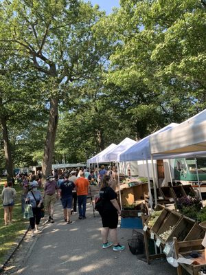 Portland Farmers' Market by null