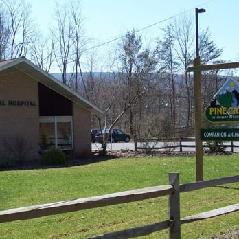 Pine Creek Veterinary Associates - Street veiw of Office. - Veterinarians Near Me - Lock Haven, Pennsylvania