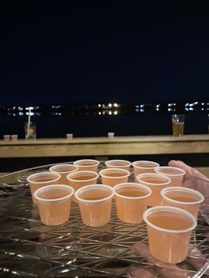 Parsnip Lake House by null