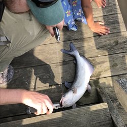 Kingman and Heritage Islands Park - I caught a blue catfish. Catch and release