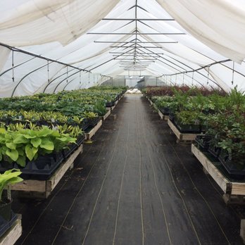 Flower Power Farm - Nurseries & Gardening Near Me - East Windsor, Connecticut Flower Power Farm - Nurseries & Gardening Near Me - East Windsor, Connecticut