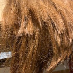 Heads Up Wigs & Accessories