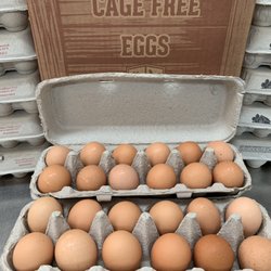 Teena's Pride Produce/ MichaelBorekFarms - Free range fresh eggs
www.MichaelBorekFarmsllc.com