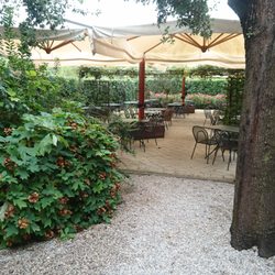 La Mencia - In de tuin nog meer plaatsen.