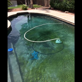 Humble Bee Pool Service & Repair - Tons of algae on first visit - Pool & Hot Tub Service Near Me Humble Bee Pool Service & Repair - Tons of algae on first visit - Pool & Hot Tub Service Near Me