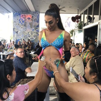 Palace Bar - Gay Bars Near Me - Miami Beach, Florida