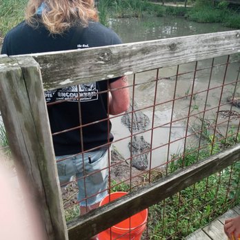 Crocodile Encounter - Zoos Near Me - Angleton, Texas