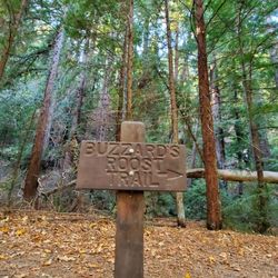 Buzzard's Roost Trail