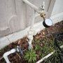 Photo of RC Drains & Plumbing