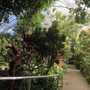 Krohn Conservatory - Botanical Gardens Near Me - Cincinnati, Ohio Krohn Conservatory - Botanical Gardens Near Me - Cincinnati, Ohio