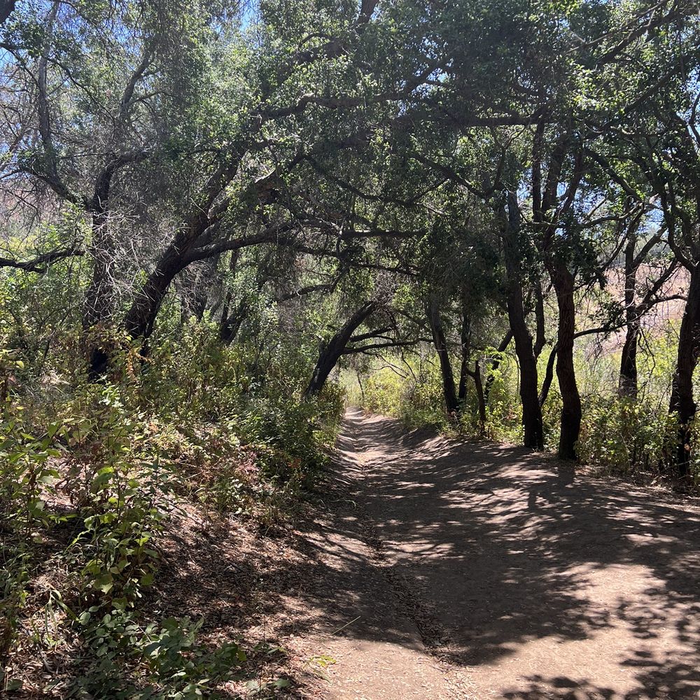 Escondido Canyon Park - Hiking Near Me - Malibu, California Escondido Canyon Park - Hiking Near Me - Malibu, California