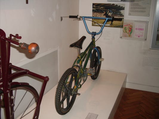 Brighton Museum & Art Gallery by null