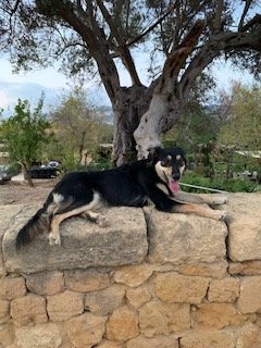 Archaeological Museum "Pietro Griffo" of Agrigento by null
