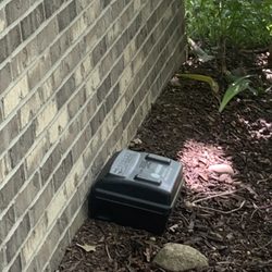 Greenix Pest Control - no overkill here