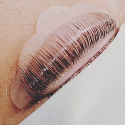 BeautiGoddess Studio - Lashes on the shield.
