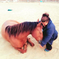Mindful Energy