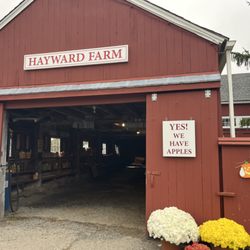 Hayward Farm - The Barn