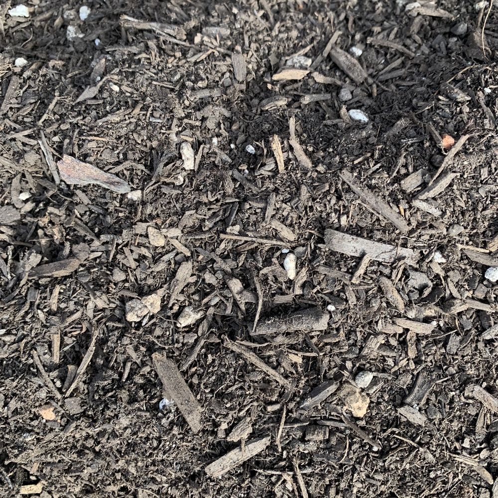 Organic planter soil