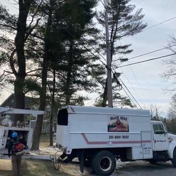 Black Bear Tree Services - a garbage truck parked in front of a house - Tree Services Near Me - Montvale, New Jersey