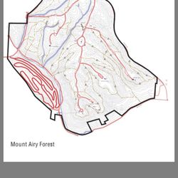 Mt. Airy Forest