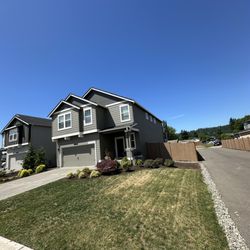 DZ Alpha - Fresh new front lawn house is looking presentable !