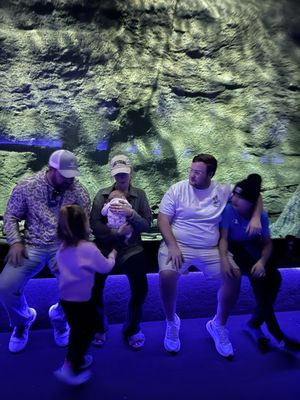 Wonders Of Wildlife National Museum & Aquarium by null