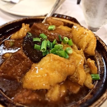 Yummy House - Braised Grouper with Tofu ( and Shitake mushrooms ) Hot Pot - Cantonese Near Me - Gainesville, Florida