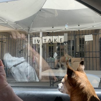Stanislaus Wildlife Care Center - June 2022
Handing off an injured baby bird. - Animal Shelters Near Me - Hughson, California Stanislaus Wildlife Care Center - June 2022
Handing off an injured baby bird. - Animal Shelters Near Me - Hughson, California