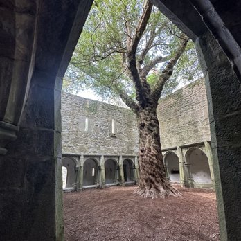 Muckross Abbey - Landmarks & Historical Buildings Near Me - Carrigafreaghane, Kentucky