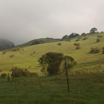 Upper San Leandro Reservoir - Hills of the verde valle. - Hiking Near Me - Moraga, California Upper San Leandro Reservoir - Hills of the verde valle. - Hiking Near Me - Moraga, California