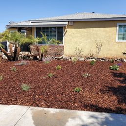 Yard with mulch and plants. Plants still need to grow bigger they are babies Yard with mulch and plants. Plants still need to grow bigger they are babies