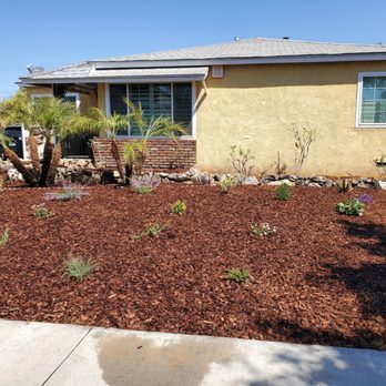 Franciscos Landscaping - Yard with mulch and plants. Plants still need to grow bigger they are babies - Landscaping Near Me Franciscos Landscaping - Yard with mulch and plants. Plants still need to grow bigger they are babies - Landscaping Near Me