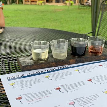 Divine Llama Vineyard - Wineries Near Me - East Bend, North Carolina