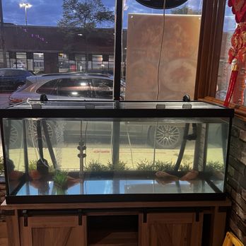 Four Seasons Dumpling - Chinese Near Me - Chicago, Illinois