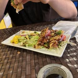 Hurricane Hole Restaurant - Tuna taco appetizers