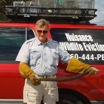 Trapper Jon's Nuisance Wildlife Evictions - Trapper Jon with snake - Pest Control Near Me Trapper Jon's Nuisance Wildlife Evictions - Trapper Jon with snake - Pest Control Near Me