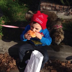 Donut Dash