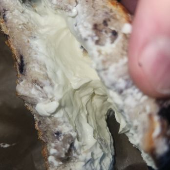 Bagelfeld's - Blue - Bagels Near Me - Phoenix, Arizona