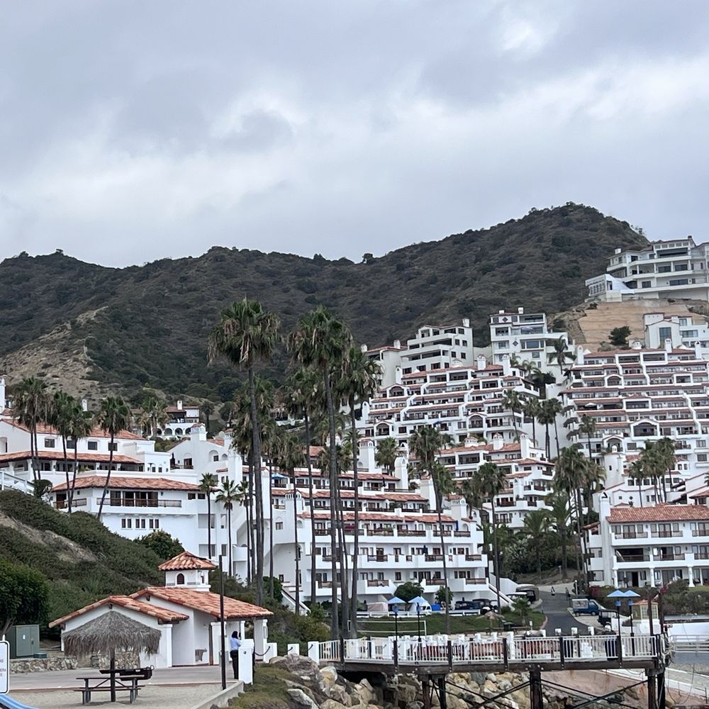 Hamilton Cove - Hamilton Cove - Vacation Rentals Near Me - Avalon, California