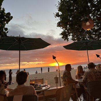 Hau Tree - Seafood Near Me - Honolulu, Hawaii