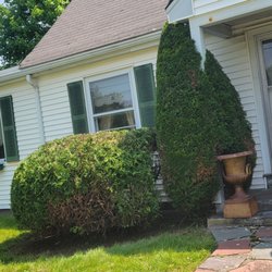 Alex Landscaping