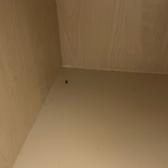 Elevate at Sundance - Another roach pic - Apartments Near Me - New Braunfels, Texas