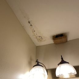 a little black mold treat on the bathroom ceiling a little black mold treat on the bathroom ceiling
