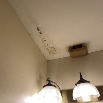 The Van Gilder Hotel - a little black mold treat on the bathroom ceiling - Hotels Near Me - Seward, Alaska The Van Gilder Hotel - a little black mold treat on the bathroom ceiling - Hotels Near Me - Seward, Alaska